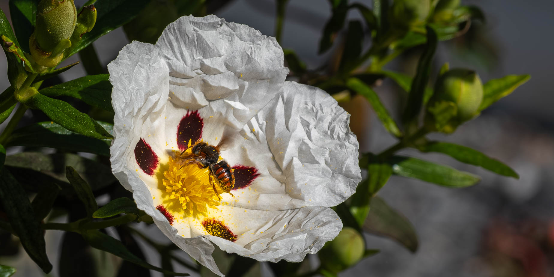 Hittade bina i badet