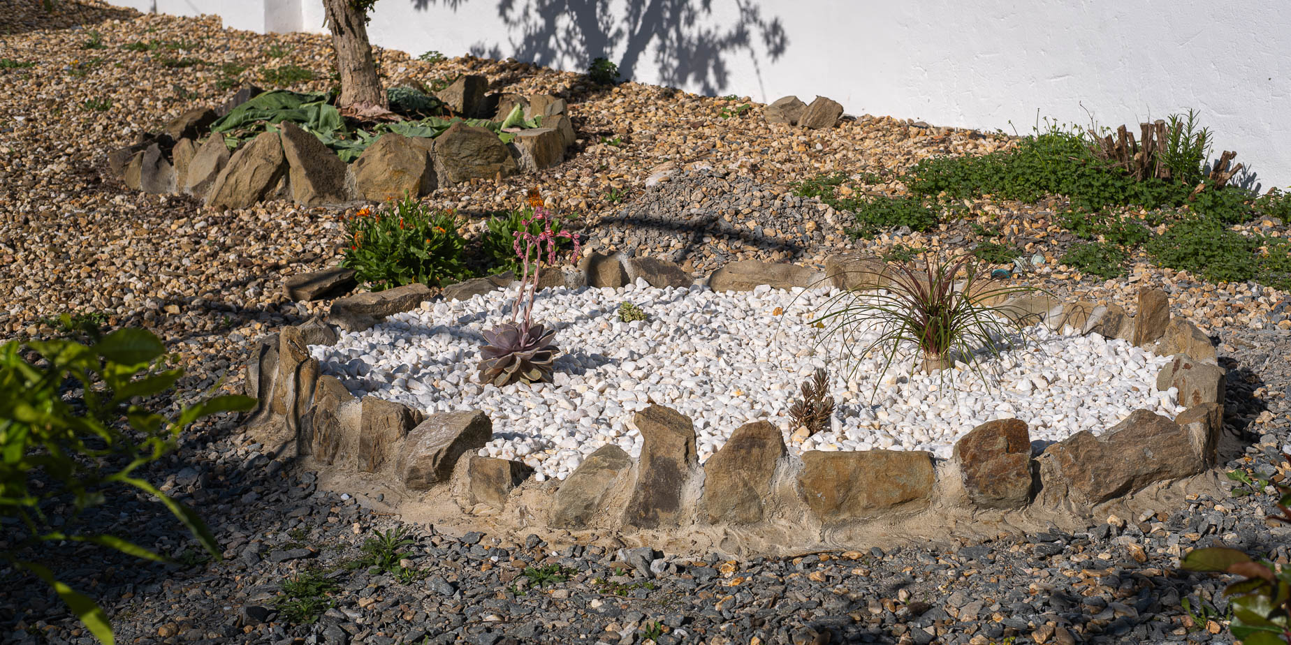 Projekt: en liten suckulent plantering