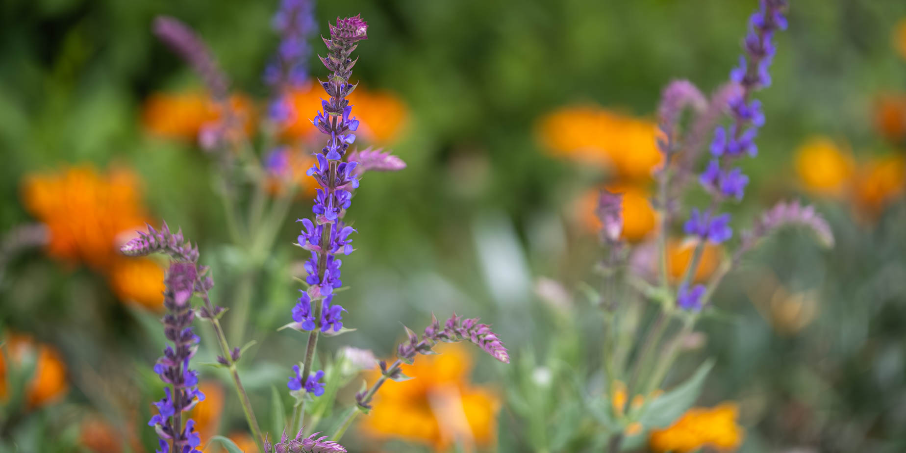 Beslut, planer & blommor